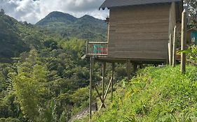 Cabañas Colibrí